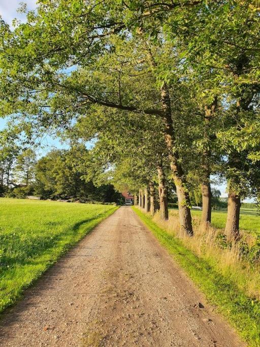 Leuk Boerderijtje Op Prachtige Plek, Nabij Natuurgebied Ruurlo Εξωτερικό φωτογραφία