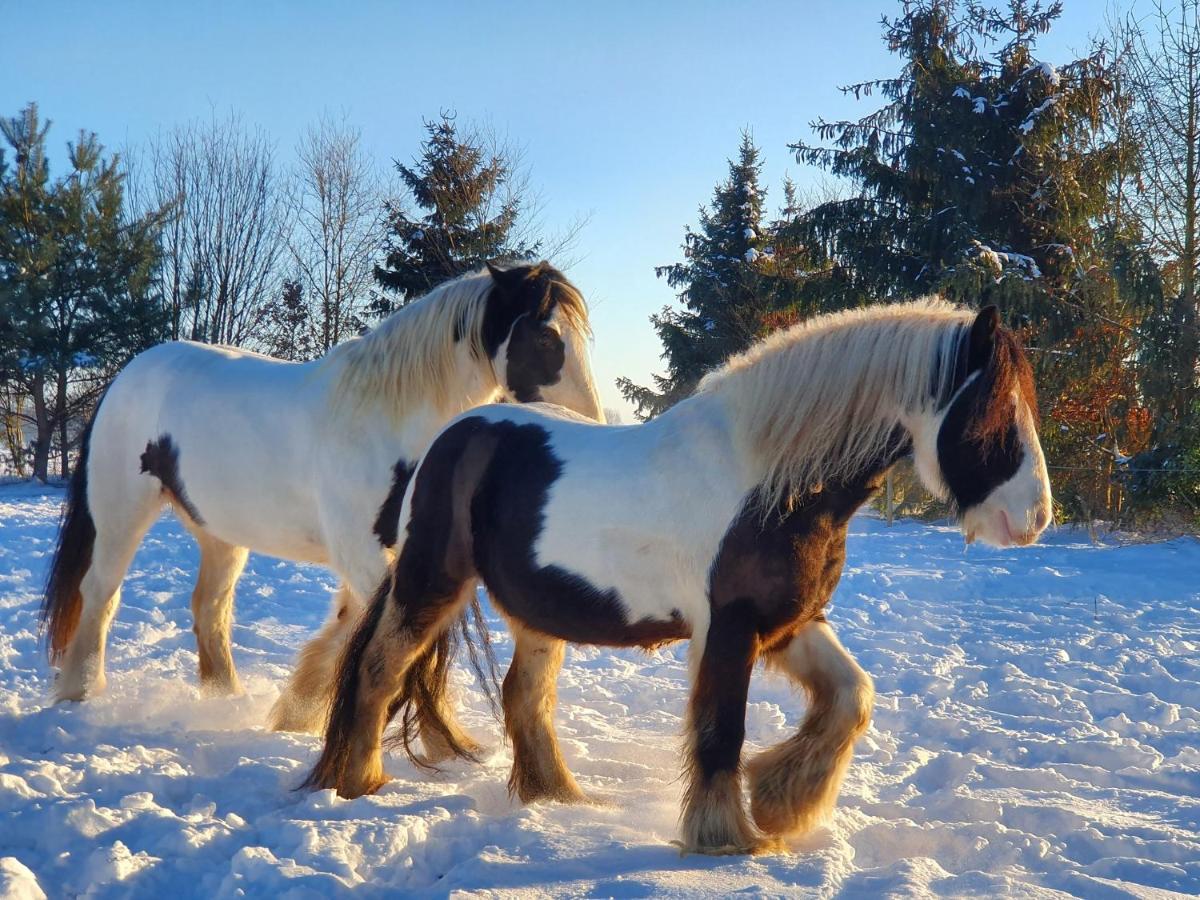 Leuk Boerderijtje Op Prachtige Plek, Nabij Natuurgebied Ruurlo Εξωτερικό φωτογραφία
