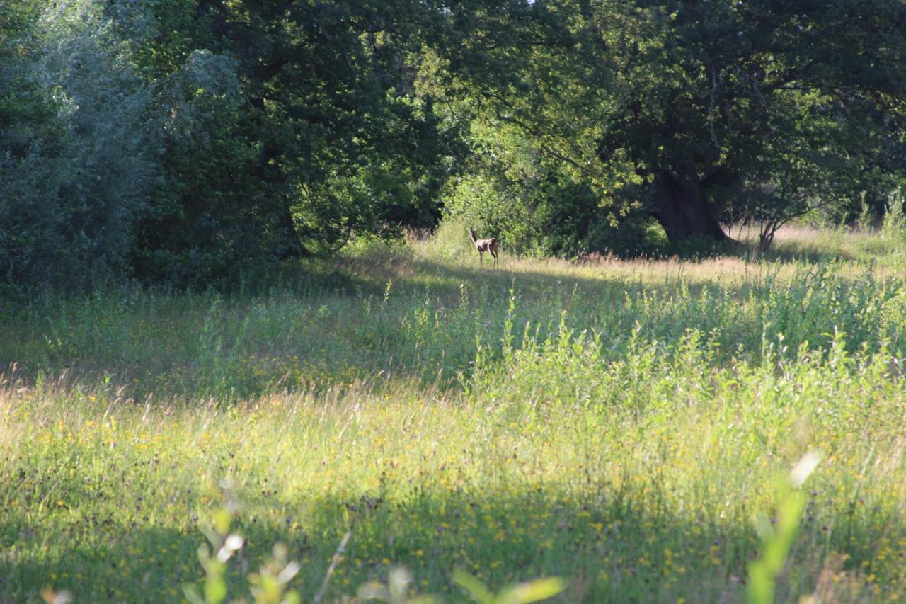 Leuk Boerderijtje Op Prachtige Plek, Nabij Natuurgebied Ruurlo Εξωτερικό φωτογραφία