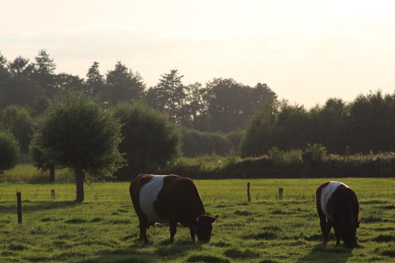 Leuk Boerderijtje Op Prachtige Plek, Nabij Natuurgebied Ruurlo Εξωτερικό φωτογραφία